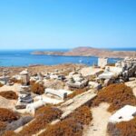 Delos and Mykonos One Day Cruise from Naxos - Exploring Delos: The Ancient "Floating Museum"