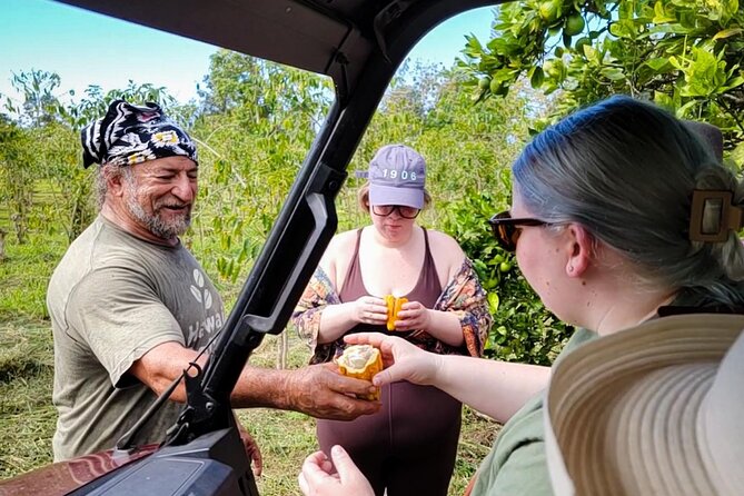 Deluxe Coffee Culture Tour from Berry to Brew in 60 Minutes - Starting at Buddha’s Cup Kona Coffee and Tea Farm
