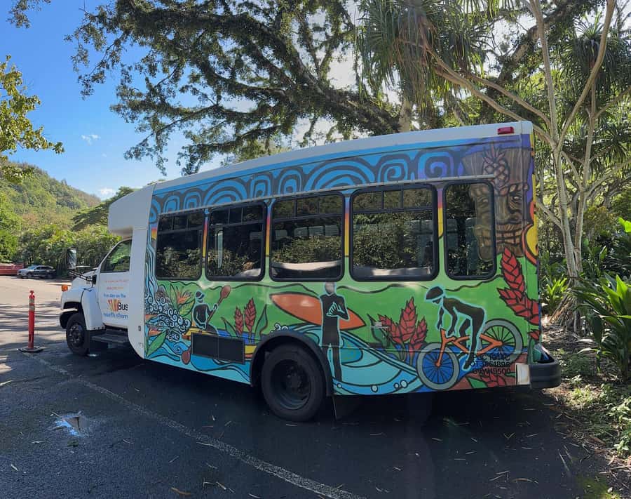 Deluxe North Shore Adventure from Ko Olina - The Authentic North Shore Experience Created by Surfers