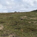 Denali: 5 Hour Guided Into The Mountains Hiking Tour - Hike Into the Heart of the Alaska Range