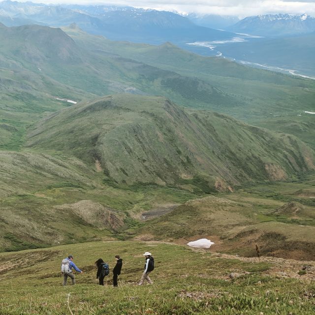 Denali: 5-Hour Guided Wilderness Hiking Tour - What Makes the Denali Wilderness Hike Unique