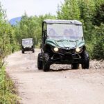 Denali ATV Trailblazer 3.5 Hour Tour - Choosing Your ATV: Single or Side-by-Side Options
