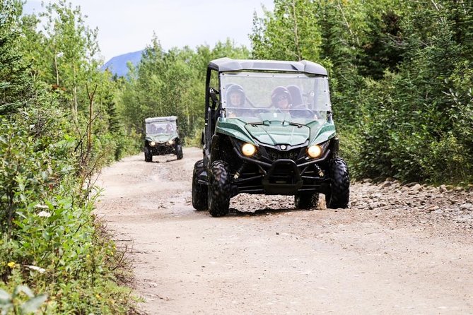 Denali ATV Trailblazer 3.5 Hour Tour - Choosing Your ATV: Single or Side-by-Side Options