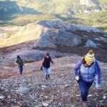 Denali Hiking Tour - The Denali Wilderness Trek: An In-Depth Look