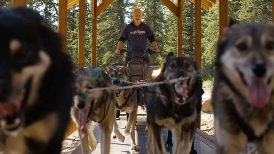 Denali: Husky Homestead Tour - Watching Huskies in Action: Racing and Training Demonstrations
