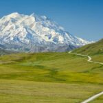 Denali in a Day  Full-Day Sightseeing Tour - The 4-Hour Denali Park Bus Ride: The Heart of the Tour