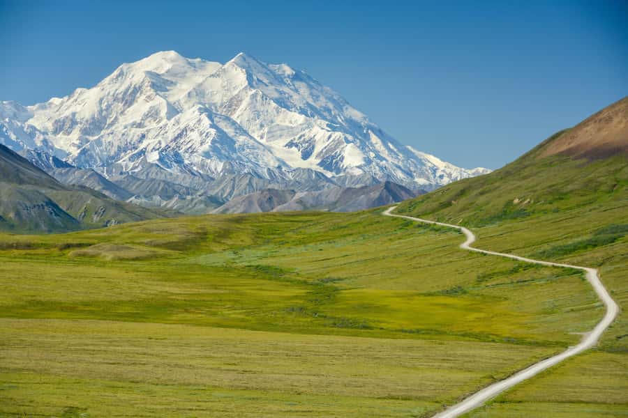 Denali in a Day  Full-Day Sightseeing Tour - The 4-Hour Denali Park Bus Ride: The Heart of the Tour