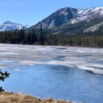 Denali National Park: Triple Lakes Trail Guided Hike - Starting Point and Tour Logistics in Denali National Park