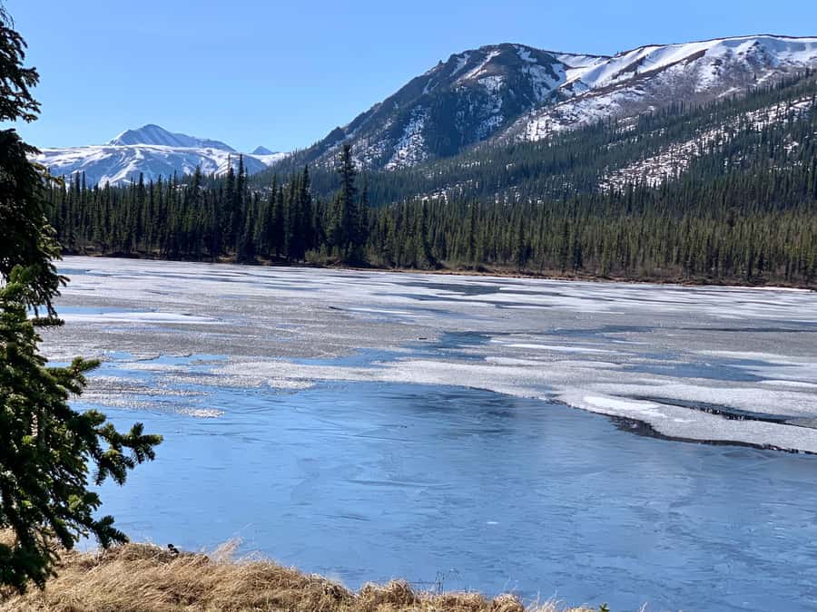 Denali National Park: Triple Lakes Trail Guided Hike - Starting Point and Tour Logistics in Denali National Park