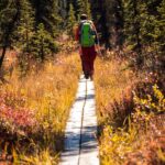 Denali: Rock Creek Trail Guided Evening Hike with Pickup - Pickup and Transportation in Denali
