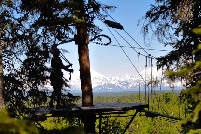 Denali Zipline Tour in Talkeetna, AK - The Nine Thrilling Zip Lines Over Alaska’s Wilderness