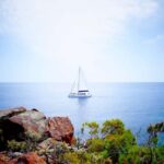 Denia/Jávea: a day at sea with paella on Isla Portitxol - Visiting Portitxol Island for Swimming and Sunbathing