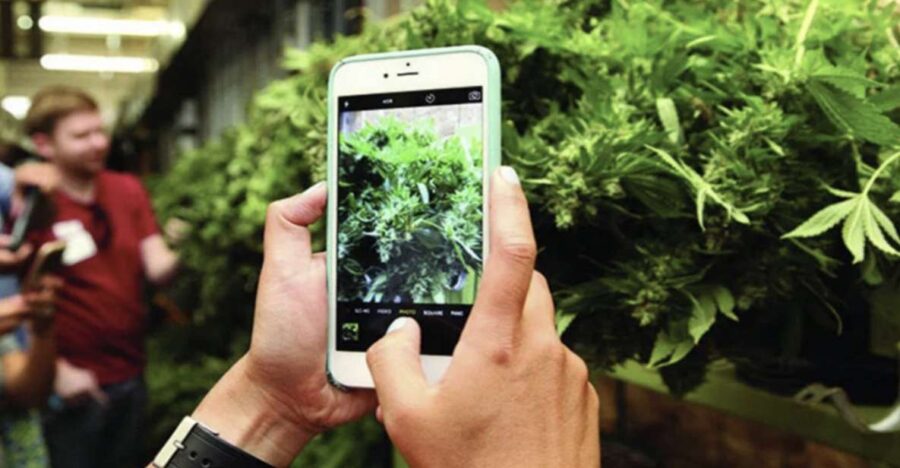 Denver: Cannabis Tour with Grow Facility Access - The Tour Starts at a Central Meeting Point in Denver