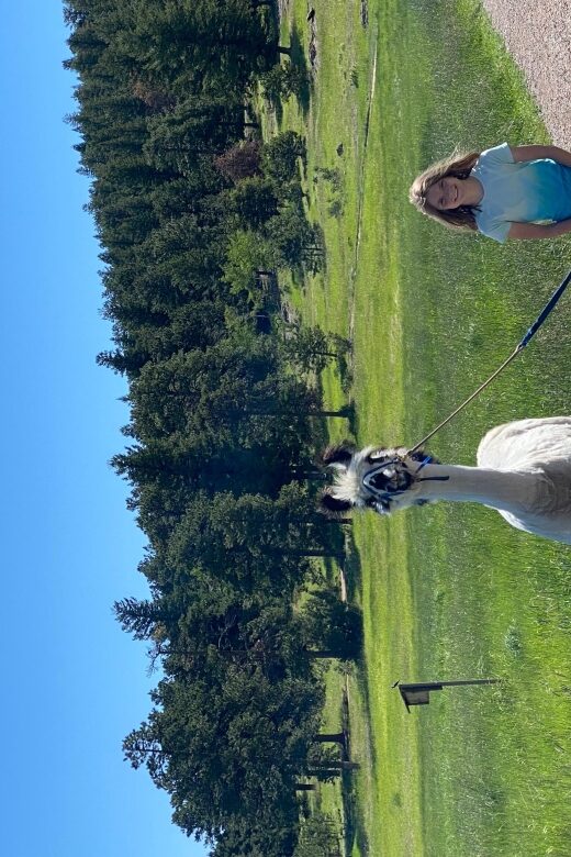 Denver: Llama Hike in the Rocky Mountains - The Llamas: Elvis and Tribby Bring Joy and Calm