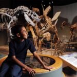 Denver: Museum of Nature and Science Entry Ticket - Discovering the Museums Top Exhibits and Interactive Zones