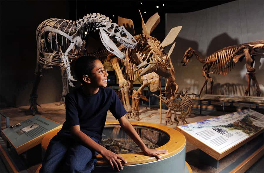 Denver: Museum of Nature and Science Entry Ticket - Discovering the Museums Top Exhibits and Interactive Zones