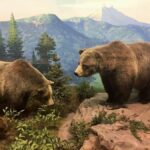 Denver: Museum of Nature and Science Ticket & Digital Tour - Navigating the Museum with Your Smartphone Guide