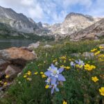 Denver: Private Rocky Mountain National Park Wildlife Tour - Discover the Scenic and Remote Rocky Mountain Views