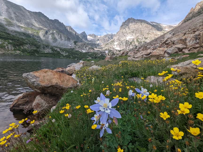 Denver: Private Rocky Mountain National Park Wildlife Tour - Discover the Scenic and Remote Rocky Mountain Views