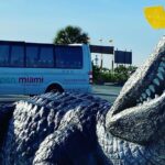 Depart from Miami to discover the Everglades with Airboat tour included! - Visiting Everglades National Park and the Wildlife Management Area