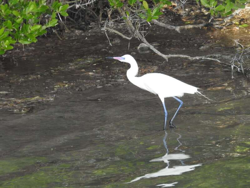 Desde Holbox: SunSea- SUNSET Kayak - Starting Point on the Northwest Shore of Holbox