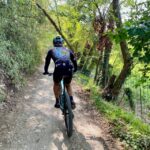 Desenzano: e-Bike Tour with Wine Tasting - Scenic Inland Route Through Desenzano and Sirmione