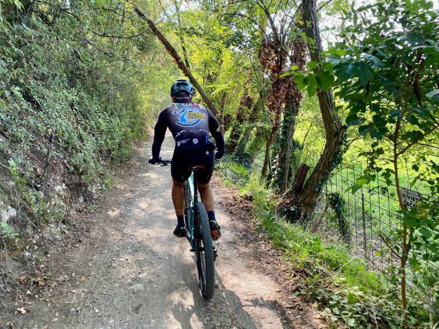 Desenzano: e-Bike Tour with Wine Tasting - Scenic Inland Route Through Desenzano and Sirmione