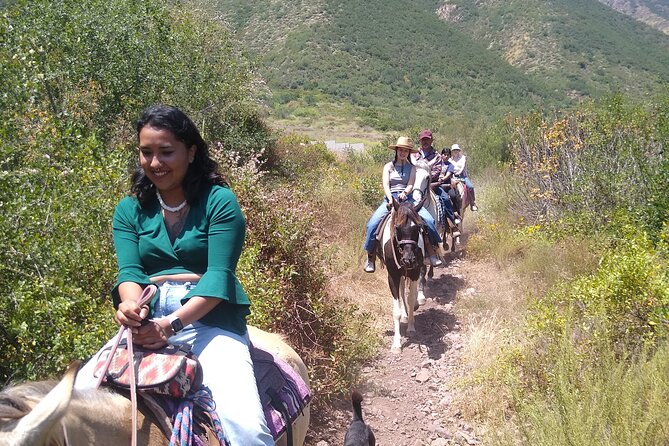 Desert Peaks on Horseback, Exploring Mountain Trails of Ensenada - Visiting Ensenada’s Natural Highlights: Wildlife and Wildflowers
