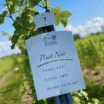 Designated Driver For Wine Tours - Traverse City - Your Vehicle, Your Rules