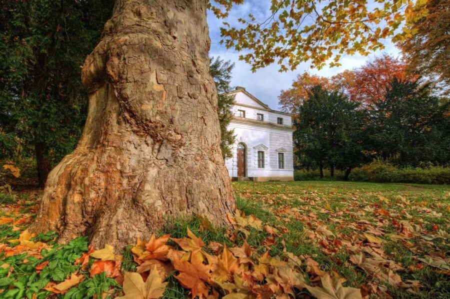 Dessau: In the footsteps of Paul Klee - Exploring the UNESCO World Heritage Park Georgium