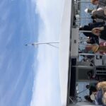 Destin Dolphin Cruise - The Comfortable and Safe Corinthian Catamaran