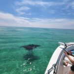 Destin: Private Morning Dolphin Cruise - Spotting Dolphins at Play in Destins Waters