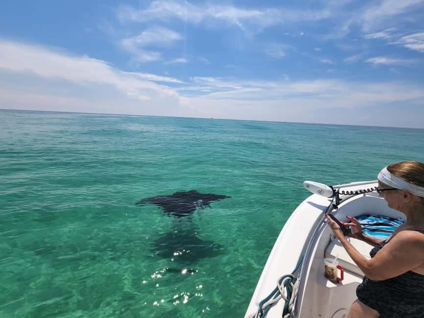 Destin: Private Morning Dolphin Cruise - Spotting Dolphins at Play in Destins Waters