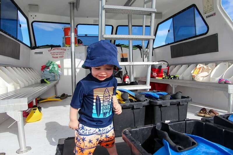 Destin: Snorkeling Cruise with 2 Stops and Dolphin Watching - The Tours Starting Point and Booking Flexibility