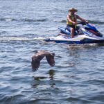 Destin: Waverunner Rental with Crab Island Access - How to Find and Check-in at Luthers Pontoon, Waverunner, & Kayak Rentals