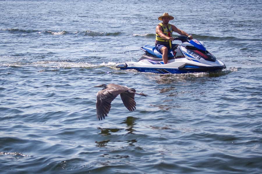 Destin: Waverunner Rental with Crab Island Access - How to Find and Check-in at Luthers Pontoon, Waverunner, & Kayak Rentals