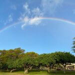 Diamond Head Hiking Tour with Ticket and Reservation Inclusion - Guided Support with Bottled Water and Flashlights
