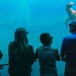 Digital Ocean Adventure in Sevierville - The Unique Concept of the Digital Ocean Experience