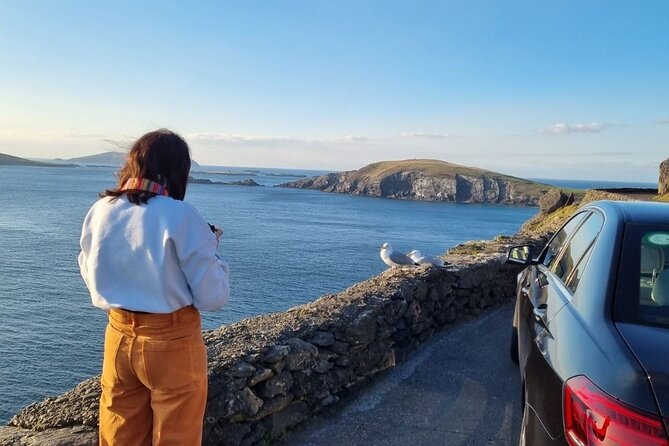 Dingle: Hour Slea Head Drive Tour 4hr - Personal Chauffeur Guide - Starting at Farrannakilla in Dingle for a Personalized Journey