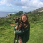 Dingle Peninsula Day Tour from Limerick: Including The Wild Altanic Way - The Wild Atlantic Way: Slea Head Drive and Coastal Views