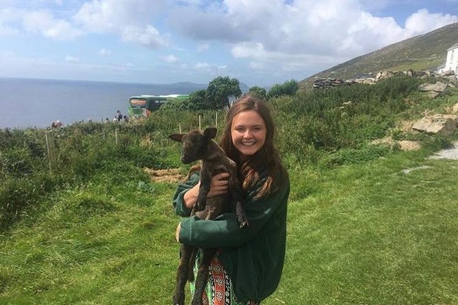 Dingle Peninsula Day Tour from Limerick: Including The Wild Altanic Way - The Wild Atlantic Way: Slea Head Drive and Coastal Views