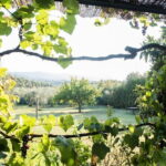 Dining Experience in a 13th-Century Monastery in Florence - What’s Included in the Tuscan Dinner Experience