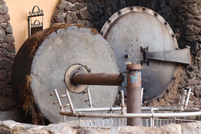 Dinner and Party in Amatitán Tequila and Tradition and Music - The Festive Outdoor Celebration at La Amatiteña Garden