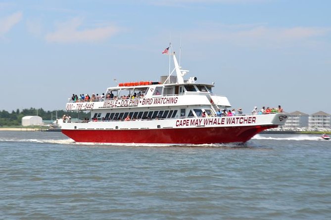 Dinner Cruise with Dolphin Watching from Cape May - Cruise Along the Beachfront of Cape May