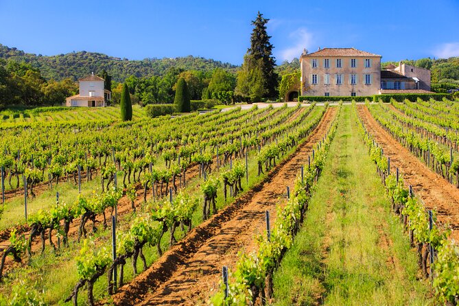 Dinner in the Vineyard Saint Tropez - Culinary Delights with Live Cooking by a Chef