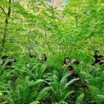 Discover Best Of Gauja National Park In One Day - Exploring Gauja National Park’s Top Natural Highlights