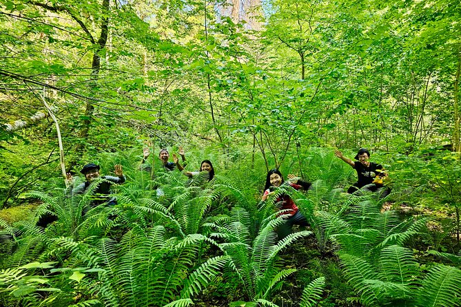 Discover Best Of Gauja National Park In One Day - Exploring Gauja National Park’s Top Natural Highlights