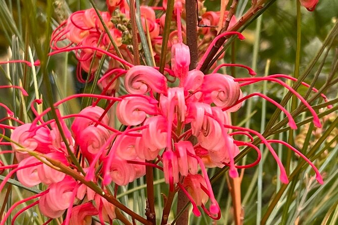 Discover Hidden Stairways & Canyon Paths: Private Urban Adventure - Exploring Rustic Canyon Recreation Center