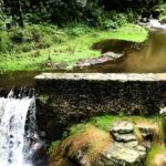 Discover Hiking Trails and a Convent in Desierto de los Leones - From Mexico City to Desierto de los Leones: A Scenic Transfer