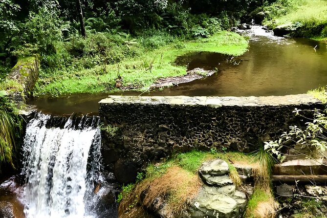Discover Hiking Trails and a Convent in Desierto de los Leones - From Mexico City to Desierto de los Leones: A Scenic Transfer